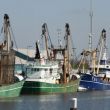 Vissersboten in de haven van Oudeschild, Texel
